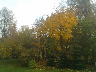 Kolorowa jesień_1