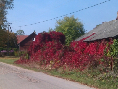 Kolorowa jesień_8